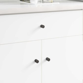 Kastknop 2 st Zwart 18 x 23 mm IJzer 1