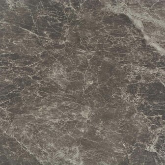Zelfklevende Vloerplanken Meerkleurig 30,5 x 30,5 cm 20 st PVC 5