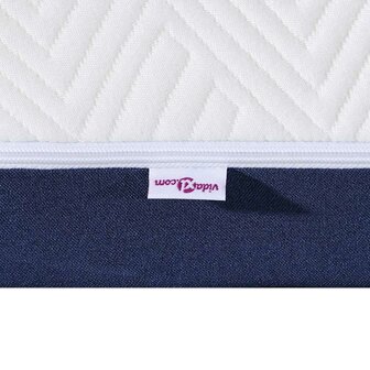 Matras Wit en Blauw 100 x 200 cm Jacquard stof 8