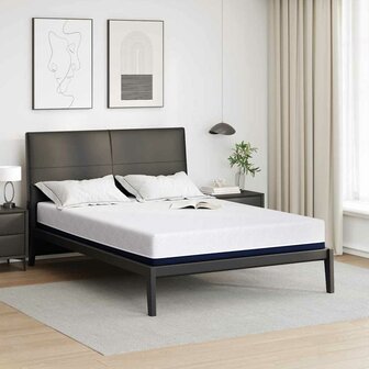 Matras Wit en Blauw 140 x 190 cm Jacquard stof 1