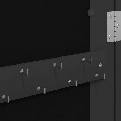 Sieradenkast met spiegel wandgemonteerd 30x8,5x90 cm zwart 8