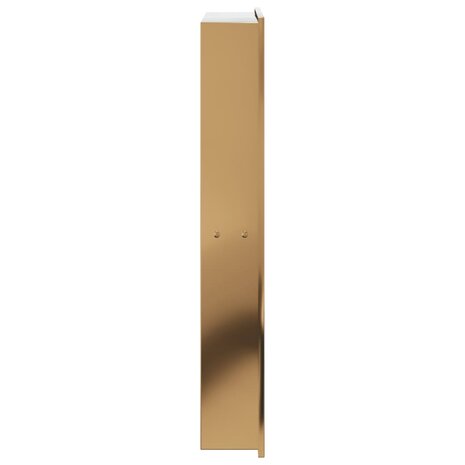 Douchenis 32x62x9 cm roestvrijstaal geborsteld goudkleurig 5