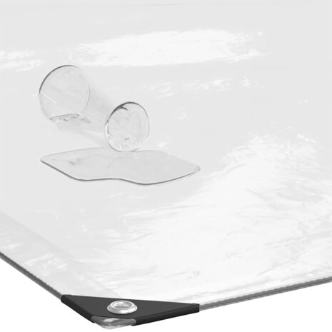 Doorzichtig zeildoek met zeilringen 1x2 m polyethyleen 5