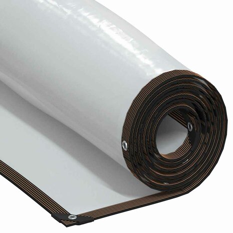 Doorzichtig zeildoek met zeilringen 2x10 m polyethyleen 1