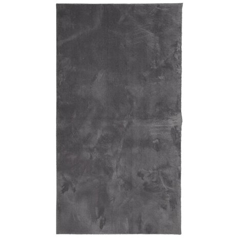 Vloerkleed HUARTE laagpolig zacht wasbaar 60x110 cm antraciet 2