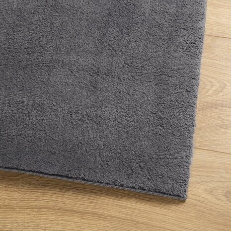Vloerkleed HUARTE laagpolig zacht wasbaar 60x110 cm antraciet 4