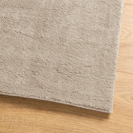 Vloerkleed HUARTE laagpolig zacht wasbaar 60x110 cm zandkleurig 4