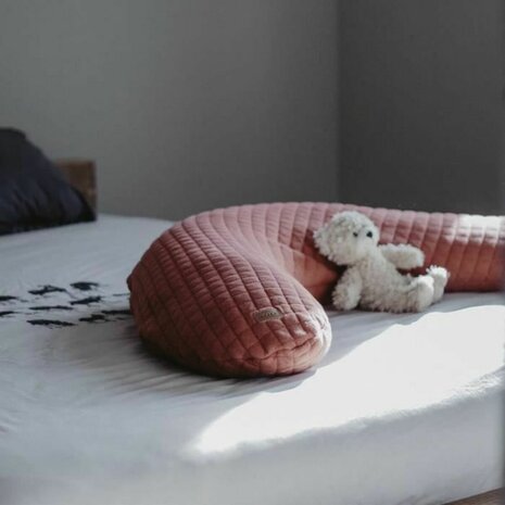 Borstvoedingskussen B&eacute;aba Terra cotta 5