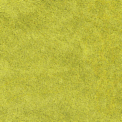 Antislip Badmat met Toilet Cut Groen 50 x 50 cm PP 8