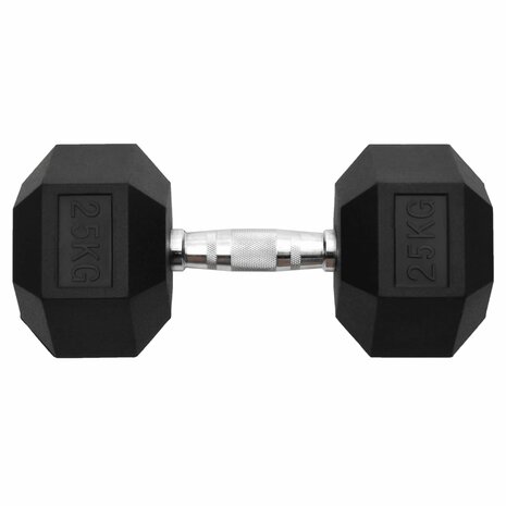 Halters 25 kg gietijzer 3