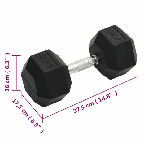 Halters 25 kg gietijzer 7