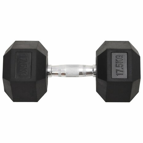 Halters 17,5 kg gietijzer 2