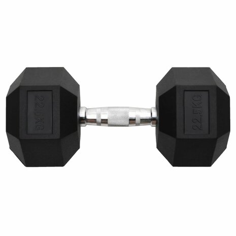 Halters 22,5 kg gietijzer 3