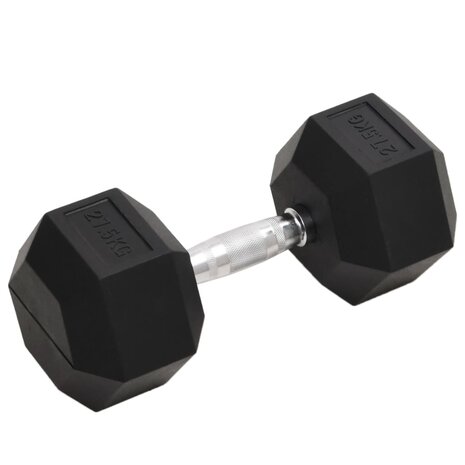 Halters 27,5 kg gietijzer 1