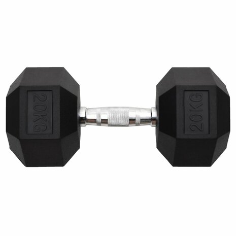 Halters 20 kg gietijzer 3