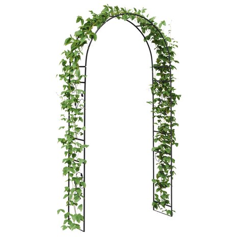 Tuin Boog Bloemen Zwart 3