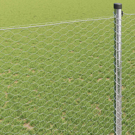 Hexagon Hek Zilver 0,6 x 10 m Gegalvaniseerd staal 4