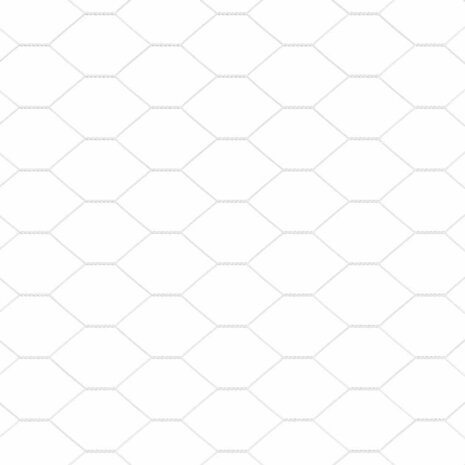 Hexagon Hek Zilver 1 x 10 m Gegalvaniseerd staal 7