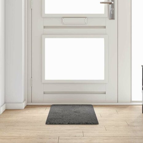 Tapijt Loper Grijs 50 x 100 cm 100% Polypropylene Tuft 1