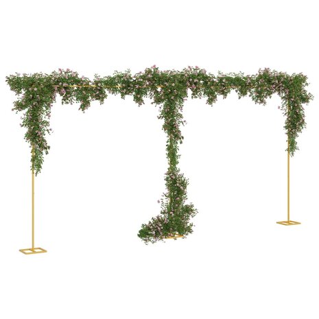 Trouwrand Goud 634 x 300 cm Staal 3