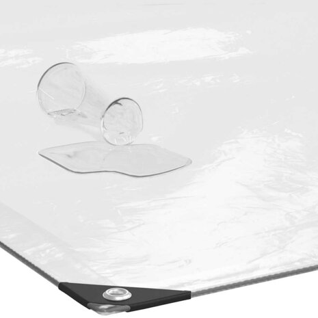 Doorzichtig afdekzeil met ogen 3x3 m polyethyleen 4
