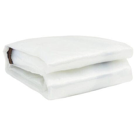 Doorzichtig zeildoek met zeilringen 1x5 m polyethyleen 3