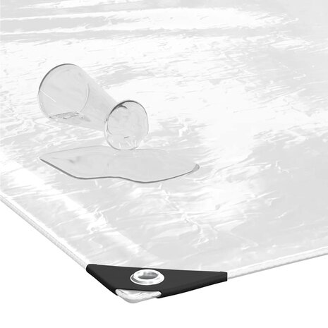 Doorzichtig zeildoek met zeilringen 1x4 m PVC 5