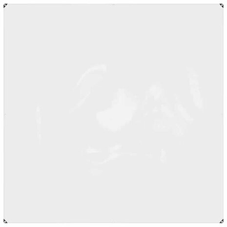 Doorzichtig afdekzeil met ogen 2x2 m PVC 2