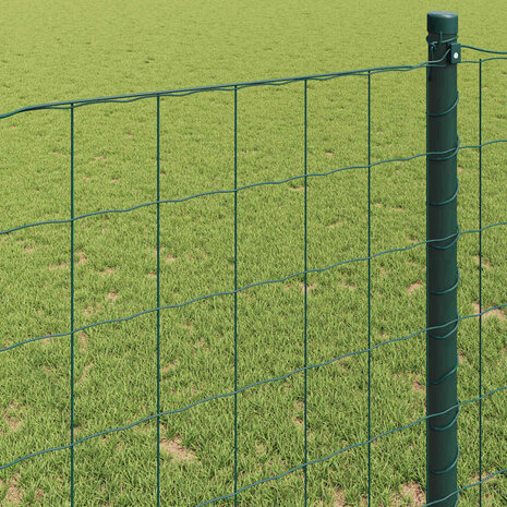 Euro Hek Groen 0,4 x 10 m PVC-gecoat ijzer 4