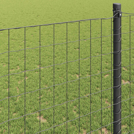Euro Hek Grijs 0,4 x 10 m PVC-gecoat ijzer 4