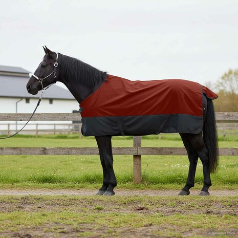 Paardendeken Donkergroen en Zwart 95 cm Polyester 1
