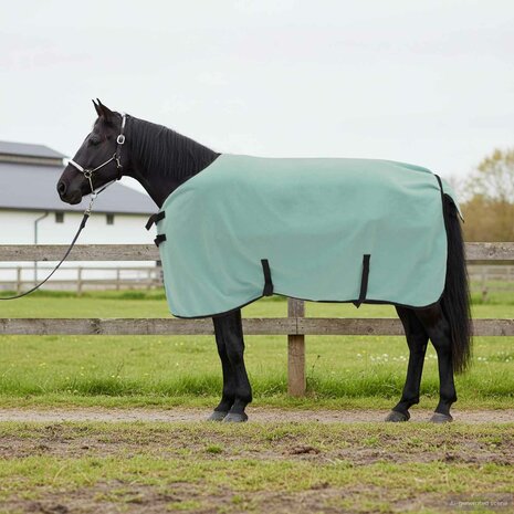 Paardendeken Speciale Groen Polyester 1