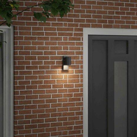 Buiten Wandlamp Zwart 6,5 x 10,5 x 16 cm RVS en Glas 3