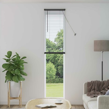 Venetiaanse Blind Verstelbaar Zilvergrijs 213 x 40 cm PVC 1