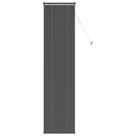 Venetiaanse Blind Verstelbaar Zilvergrijs 213 x 50 cm PVC 2