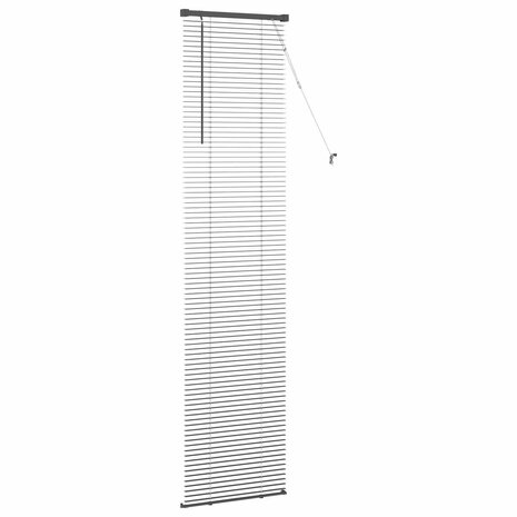 Venetiaanse Blind Verstelbaar Zilvergrijs 213 x 50 cm PVC 5