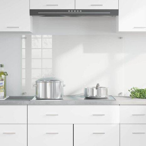Keuken Achterwand Doorzichtig 100 x 60 cm gehard glas 3