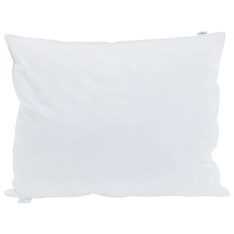 Hoofdkussen met kussen 2 pcs Wit 40 x 60 cm Veren 2