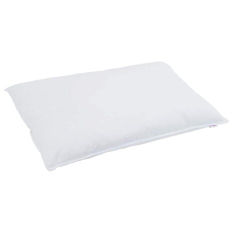 Hoofdkussen met kussen 2 pcs Wit 40 x 80 cm Veren 4