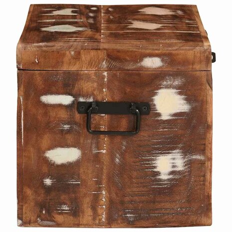 Opbergbox met opslag met de deur Bruin Massief Mango Hout 6
