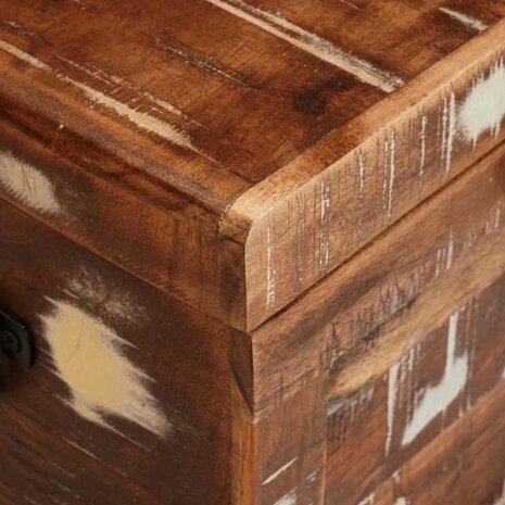Opbergbox met opslag met de deur Bruin Massief Mango Hout 9