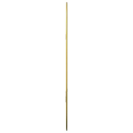 Wandspiegel 60x40 cm goudkleurig 5