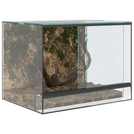 Terrarium met opslag Doorzichtig 40 x 30 x 30 cm Glas 3
