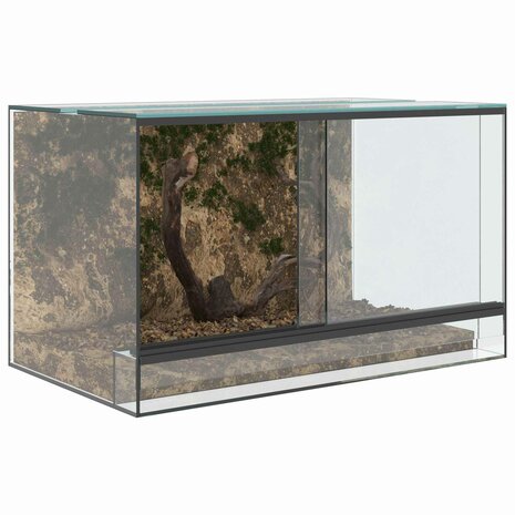 Terrarium met opslag Doorzichtig 50 x 30 x 30 cm Glas 3