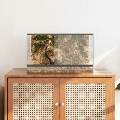 Terrarium met opslag Doorzichtig 50 x 30 x 30 cm Glas 4