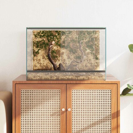 Terrarium met opslag Doorzichtig 60 x 40 x 40 cm Glas 4