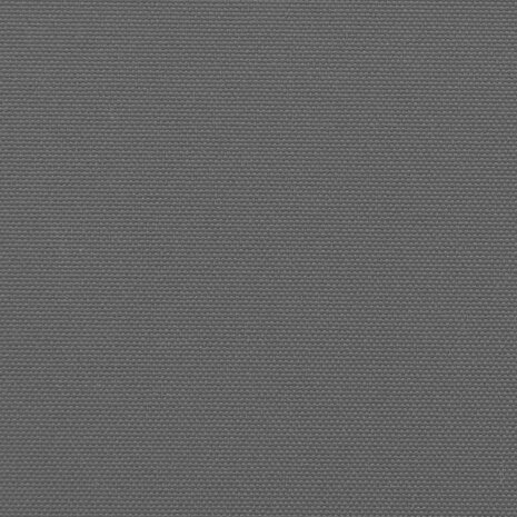 Uitschuifbare zijluifel antraciet 117x300 cm 9