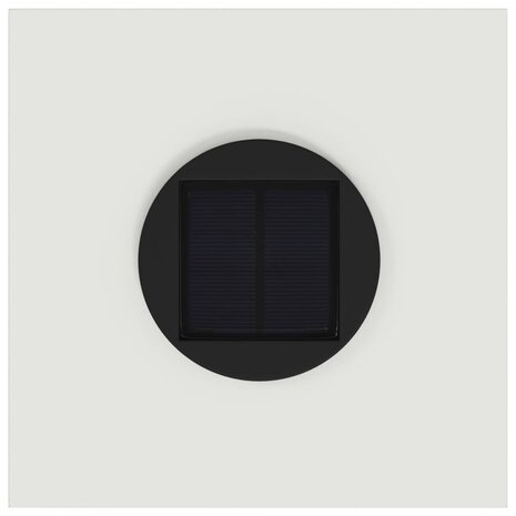 Zonne LED Padverlichting 2 pcs Wit Koudgewalst staal 9
