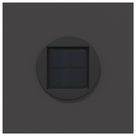 Solar LED Padverlichting 2 pcs Zwart Koudgewalst staal 7