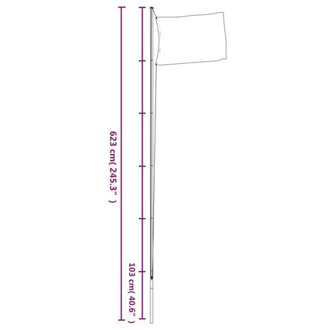 Vlag met vlaggenmast Oekra&iuml;ne 6,23 m aluminium 6